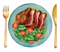 Grilled sliced Ã¢â¬â¹Ã¢â¬â¹beef steak with salad. Watercolor